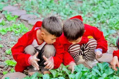 Hoạt động trải nghiệm