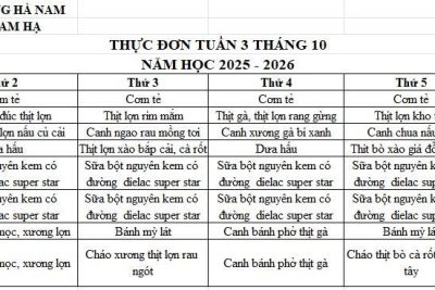 THỰC ĐƠN TRƯỜNG MẦM NON LAM HẠ TUẦN 3 THÁNG 10/2025