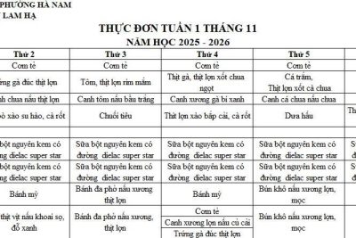 THỰC ĐƠN TRƯỜNG MẦM NON LAM HẠ TUẦN 1 THÁNG 11/2025