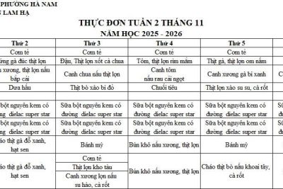 THỰC ĐƠN TRƯỜNG MẦM NON LAM HẠ TUẦN 2 THÁNG 11/2025