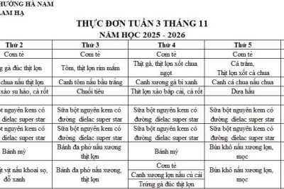 THỰC ĐƠN TRƯỜNG MẦM NON LAM HẠ TUẦN 3 THÁNG 11/2025