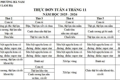 THỰC ĐƠN TRƯỜNG MẦM NON LAM HẠ TUẦN 4 THÁNG 11/2025