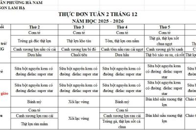 THỰC ĐƠN TRƯỜNG MẦM NON LAM HẠ TUẦN 2 THÁNG 12/2025